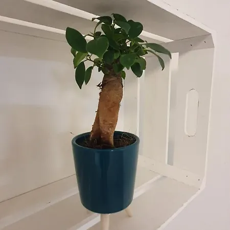 Gemuetlich Ruhig Und Zentral Durch Bahnhof * Bordesholm